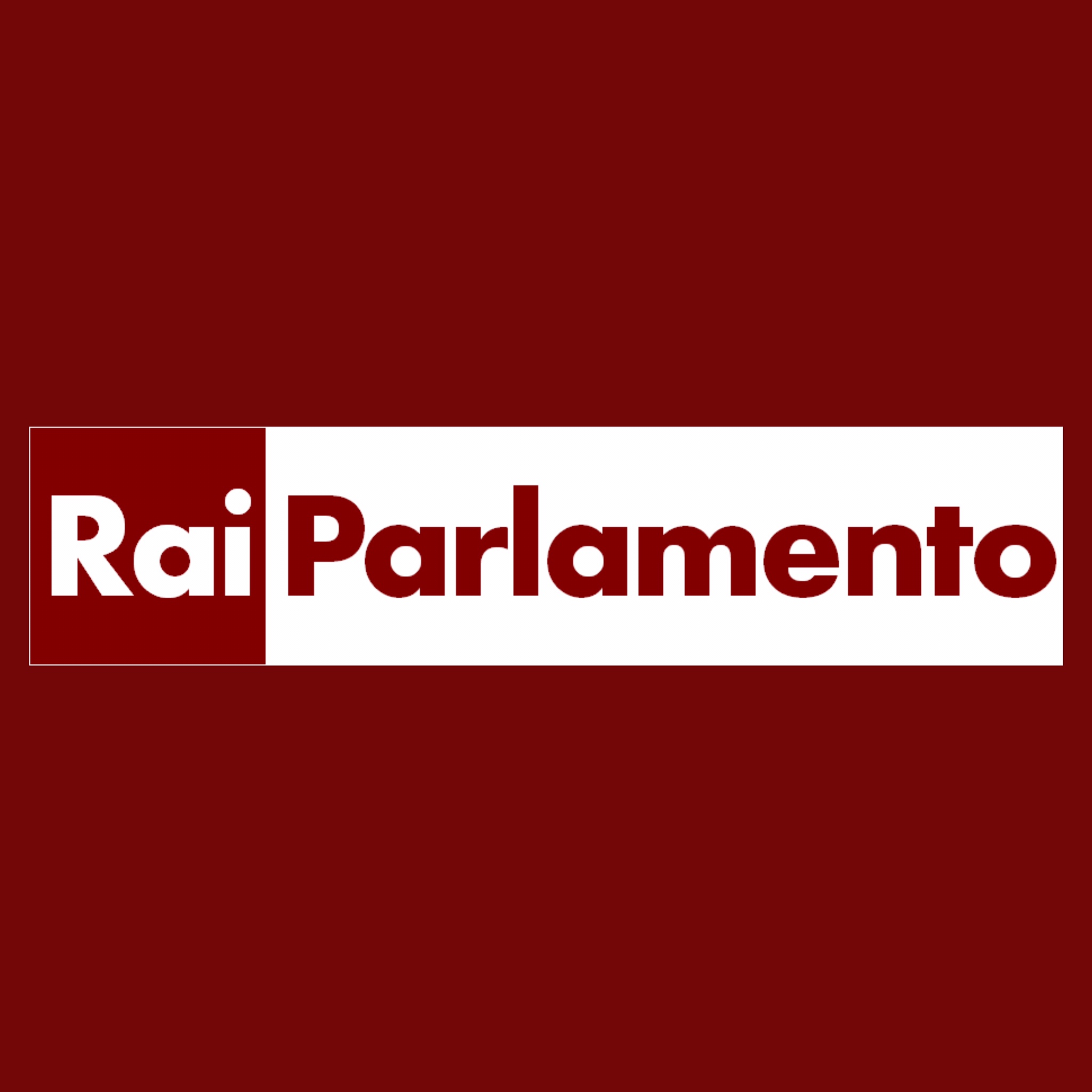 Logo rai parlamento